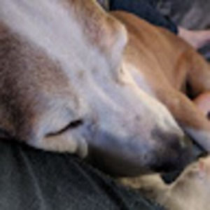 Meet your Posher, Brook